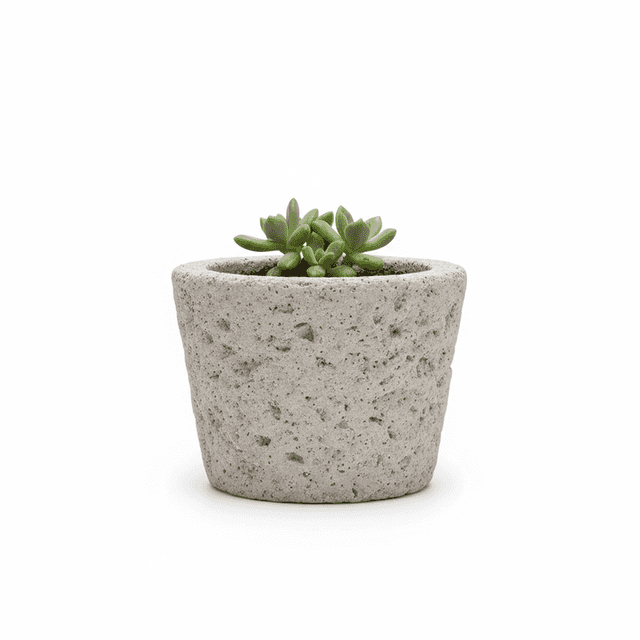 Stone Plant Pot
