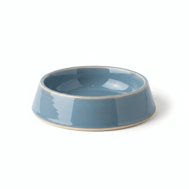 Ceramic Pet Bowl